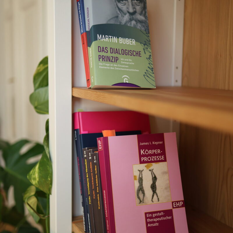 Robert Bösiger - Psychotherapie Graz - freie Plätze - Coaching Graz - Gestalttherapie - Depression - Burnout - Erschöpfung - Sinnsuche - Konflikte