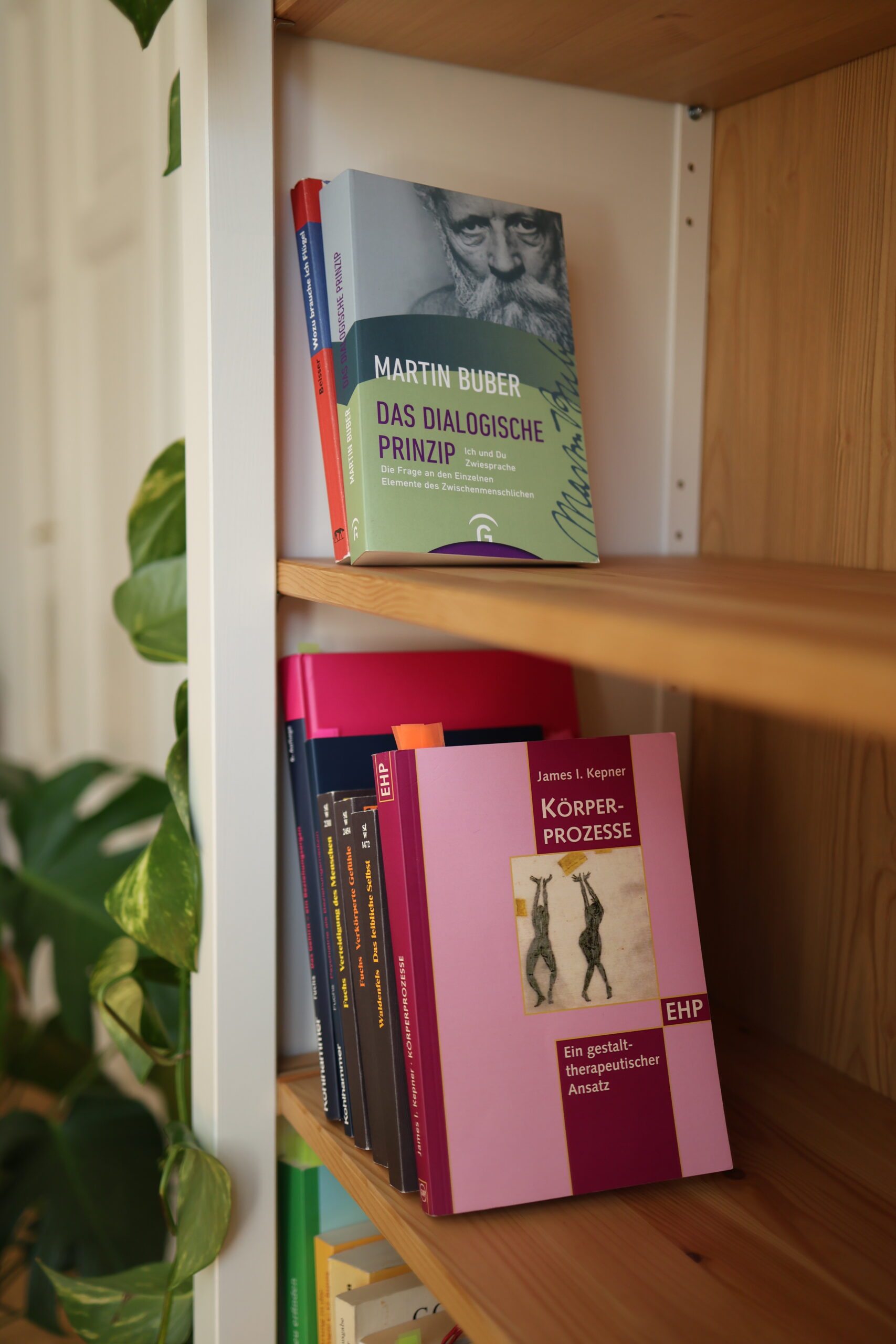 Robert Bösiger - Psychotherapie Graz - freie Plätze - Coaching Graz - Gestalttherapie - Depression - Burnout - Erschöpfung - Sinnsuche - Konflikte